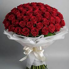 Букет 101 Красная роза Блэк Мэджик в Верхней Максаковке