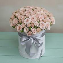 Цветочная композиция из Розы в шляпной коробке #REPLACE_PRED# Верхней Максаковке