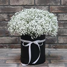 Цветочная композиция из Гипсофила в шляпной коробке в Верхней Максаковке