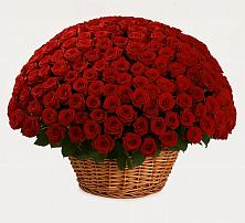 Премиум букет из: Розы #REPLACE_PRED# Верхней Максаковке