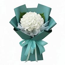 Букет цветов из:  Гортензия #REPLACE_PRED# Верхней Максаковке
